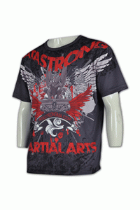 T294 sublimation dri fit breathable tees shirts DIY personal design whole printed shirts sporty tee supplier company